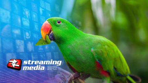 AI-Based Scaling as the Key to Cost-Efficient 4K UHD Content Delivery